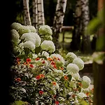 Drewniana Osada * Gołdap