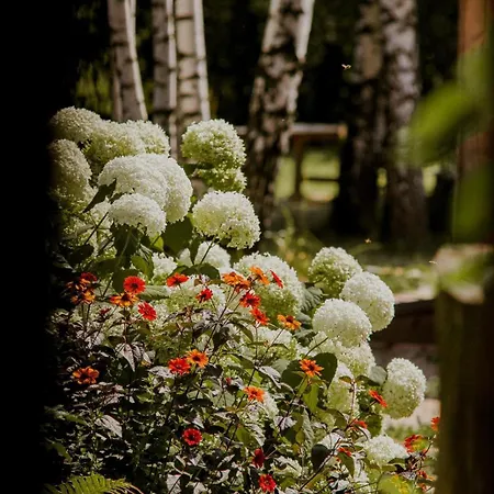 Drewniana Osada * Gołdap