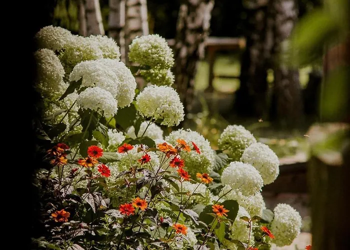 Drewniana Osada * Goldap